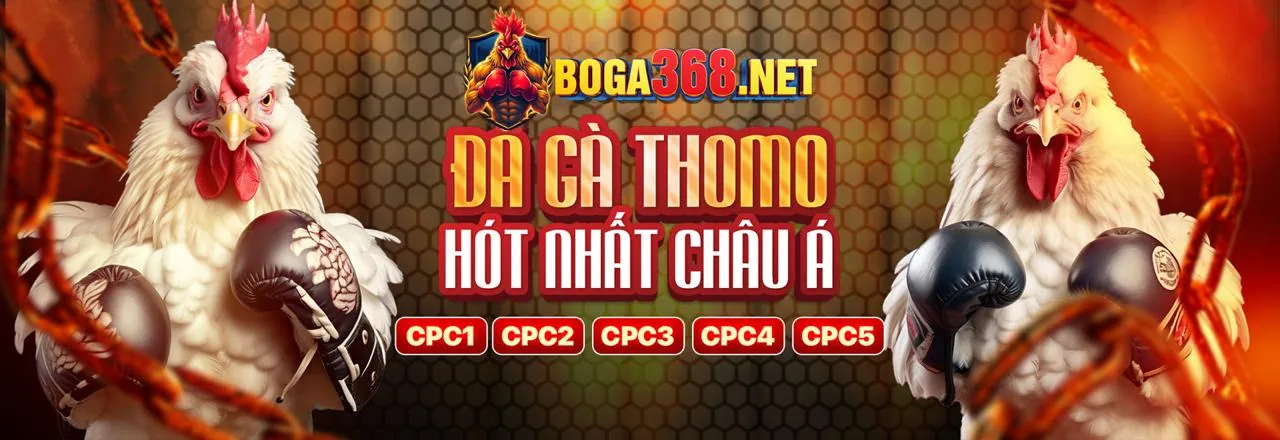 Cờ bạc có trách nhiệm 68win12 Login